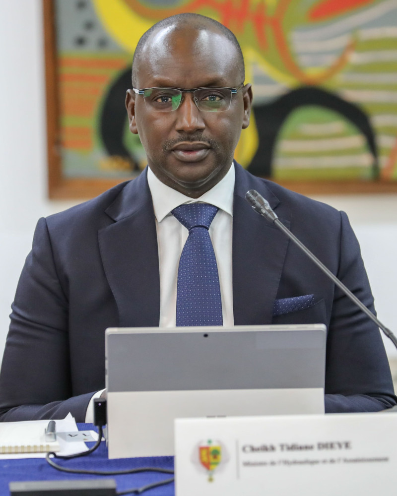 Cheikh Tidiane  DIEYE