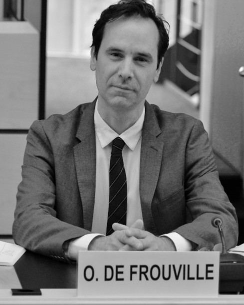 Prof. Olivier  de Frouville